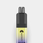 Blue Razz Lemonade Hayati® Pro Max+ | 6000+ Puffs