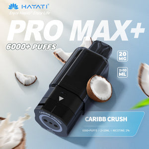 Hayati Pro Max Plus 6000 Replacement Pods | Vapess World UK