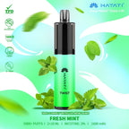 \HAYATI_TWIST_5000_PUFF_2_10ML_FRESH MINT
