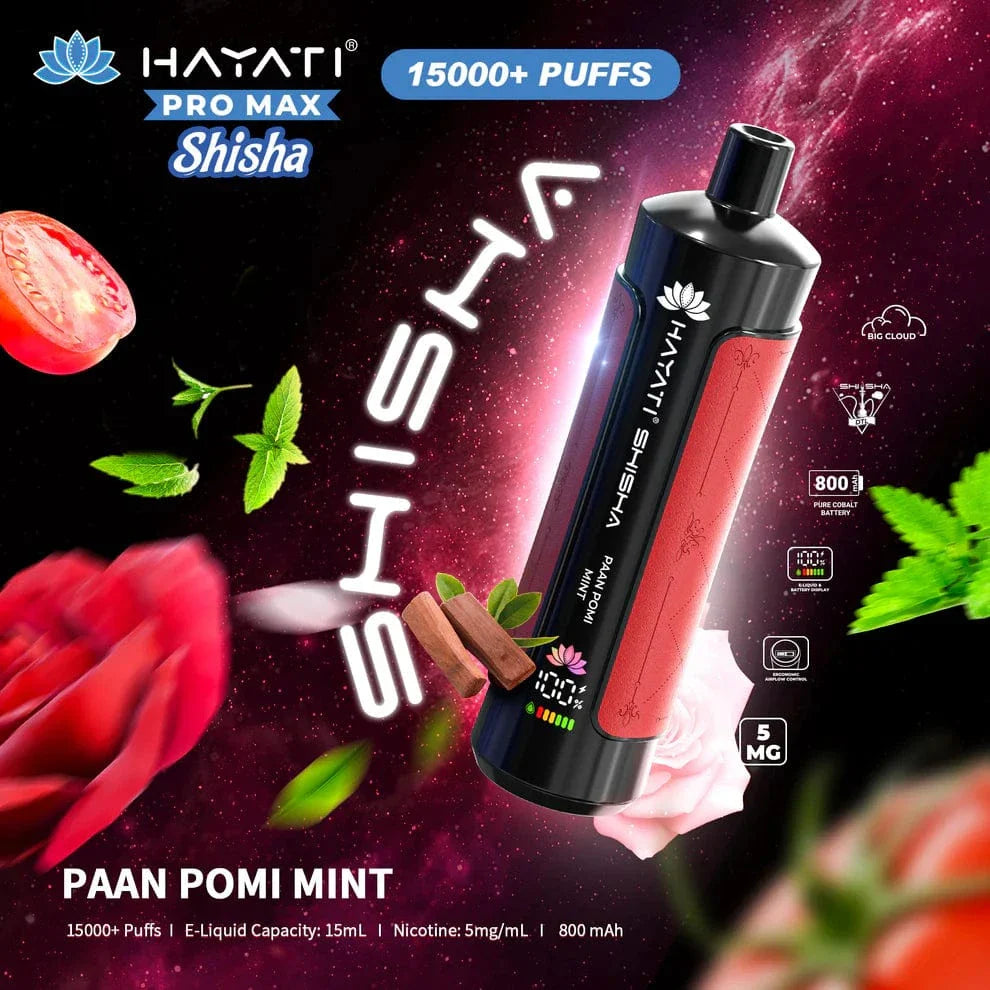 Hayati_pro_max_shisha_15000_puffs-Paan pomi mint