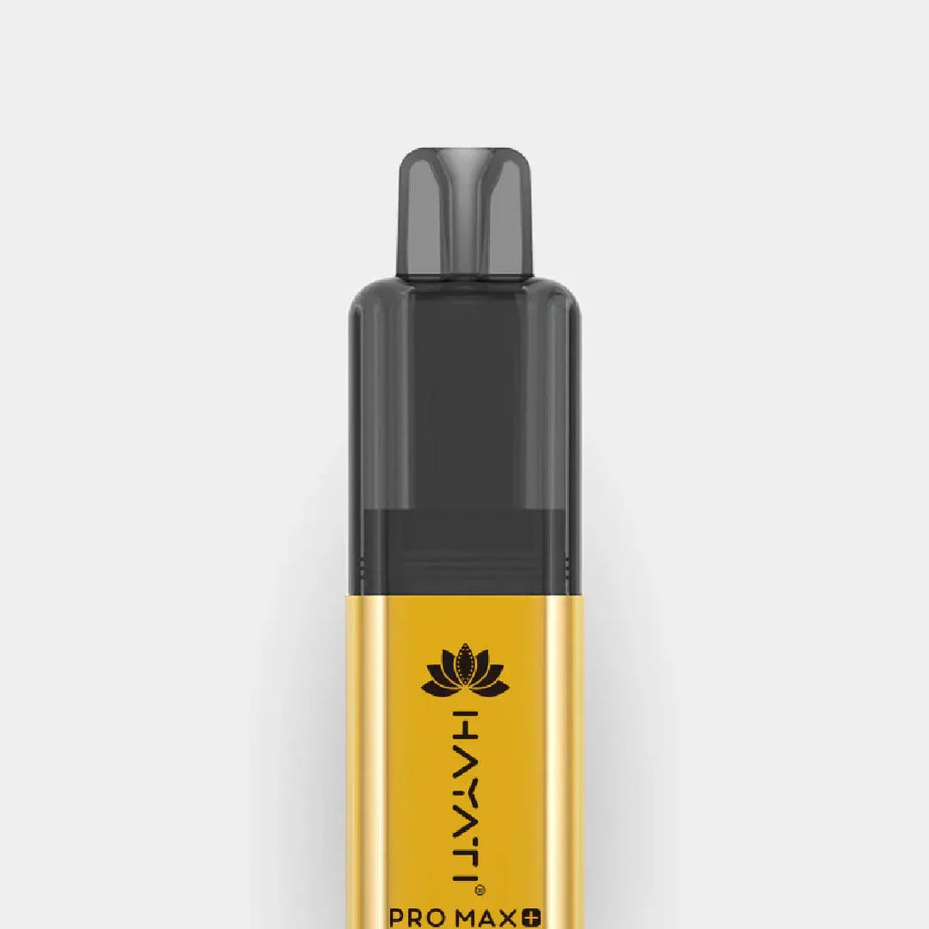 Triple Mango Hayati® Pro Max+ | 6000+ Puffs