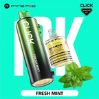 Pyne Pod Click Fresh Mint vape starter kit with mint leaves on a teal background